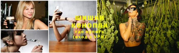 спиды Аркадак