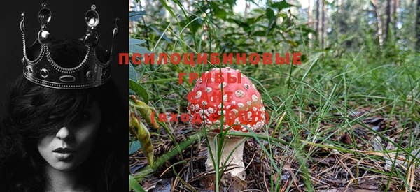 тгк Михайловка