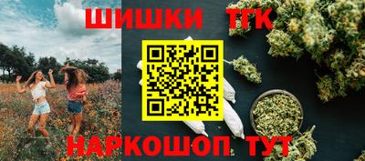 крисы Дубна