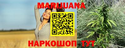 крисы Дубна