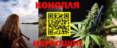 крисы Дубна