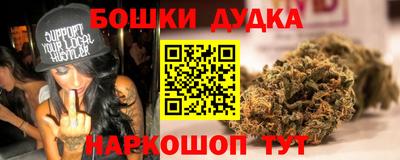 крисы Дубна
