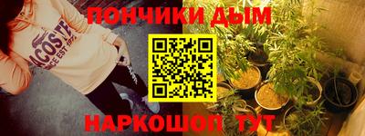 крисы Дубна